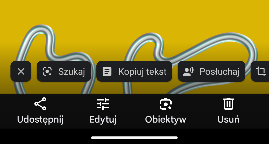 zrzut ekranu z aplikacji Obiektyw Google_obiektyw_google